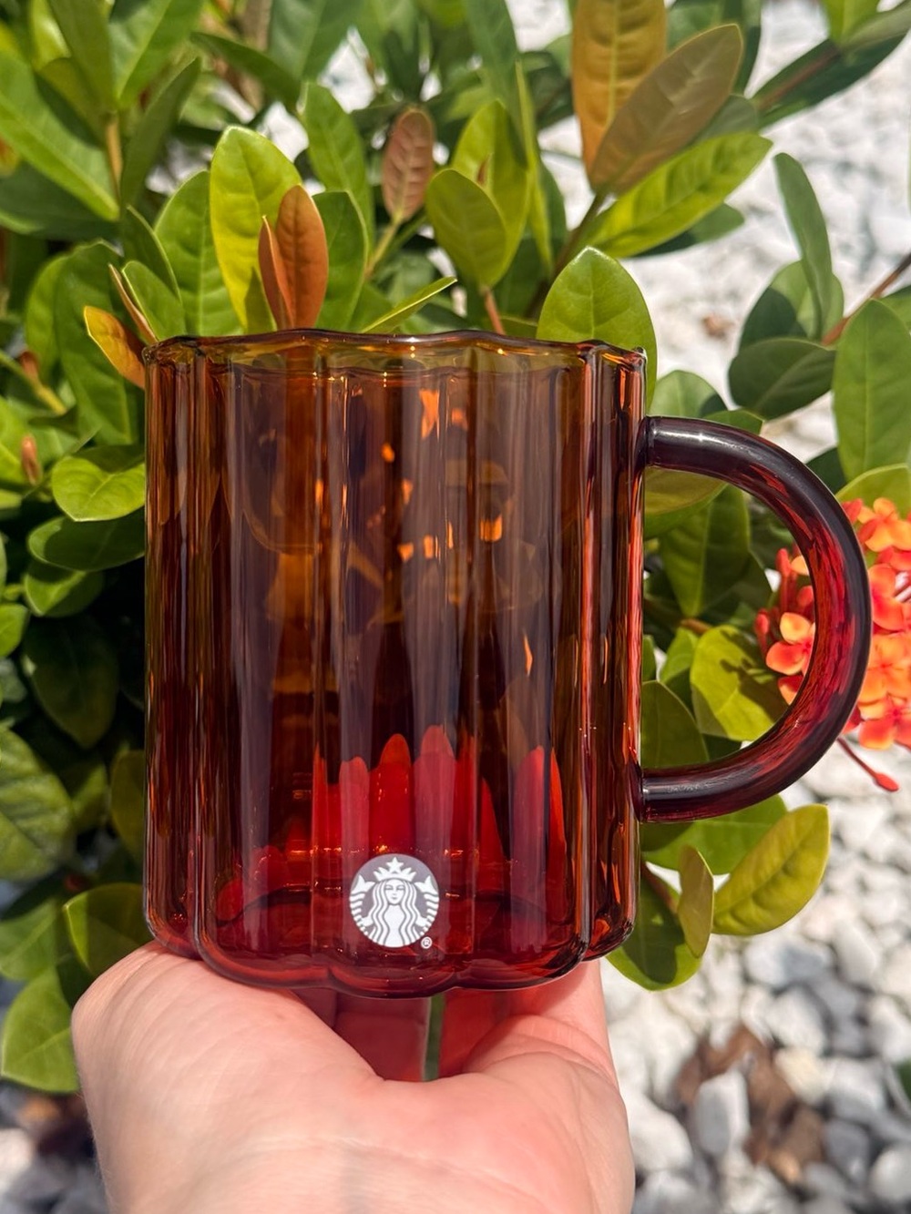 Starbucks 2026 Fall Amber Glass Ribbed Tumbler Cup